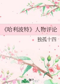 哈利波特